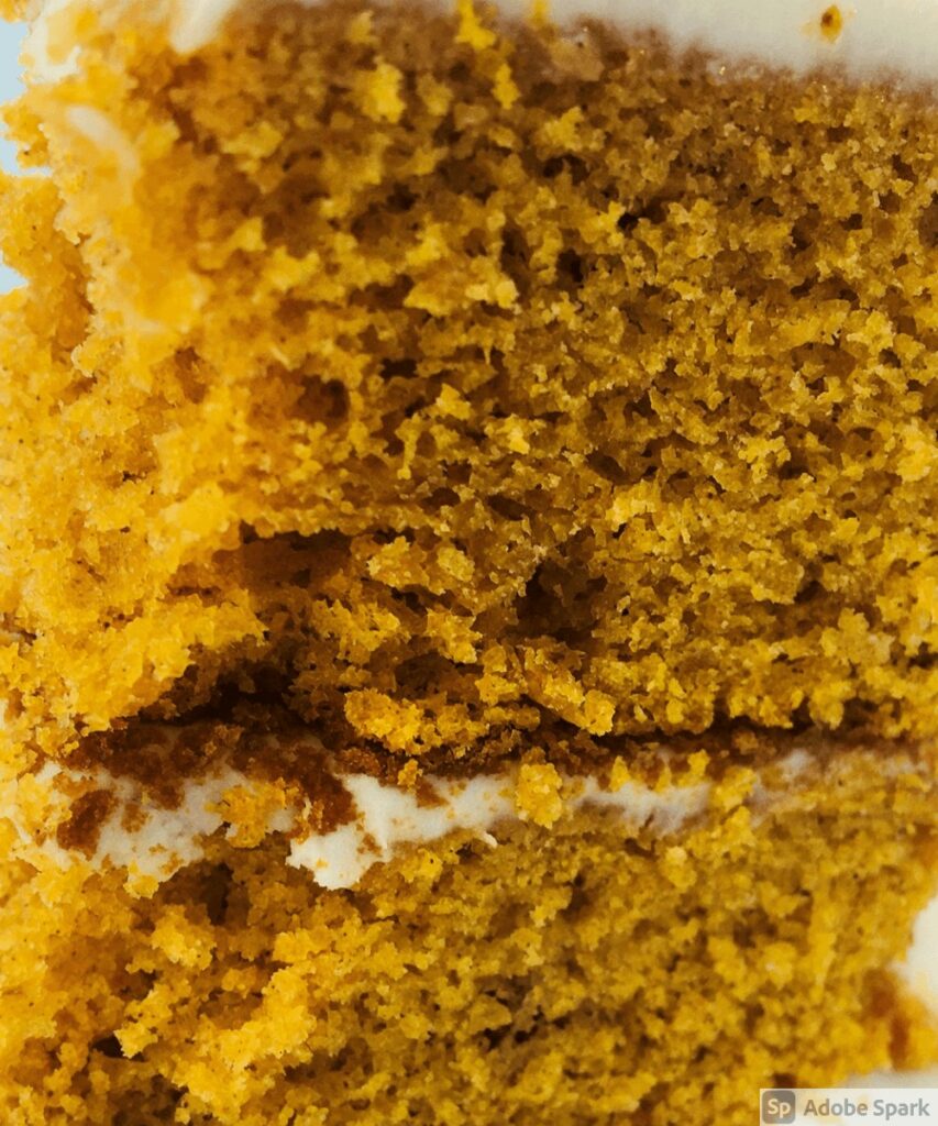 Spiced Pumpkin Cake