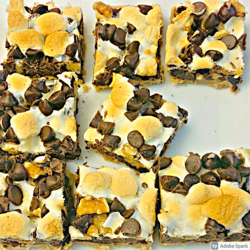 The Best S'mores Bars