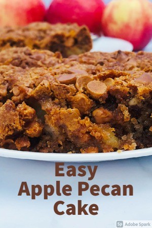 Easy 13x9 Apple Pecan Cake